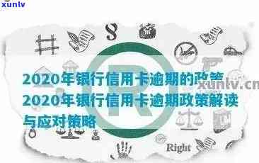 2020年信用卡逾期贴吧，揭秘2020年信用卡逾期背后的故事，你可能不知道的事实