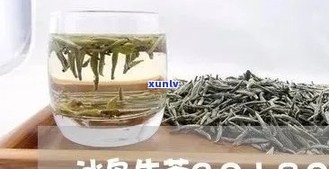 冰岛生茶哪个牌子好？口感特点、作用与功效解析