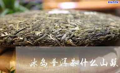 冰岛山头茶哪里好喝-冰岛山头茶哪里好喝一点