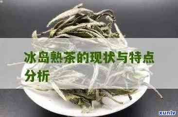 仿冰岛茶用的什么料-仿冰岛茶用的什么料子