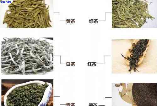 叫问的茶叶是什么茶？、类型及归属全揭秘