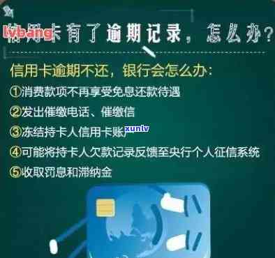 广东信用卡严重逾期怎么办，急需解决！广东信用卡严重逾期的应对策略