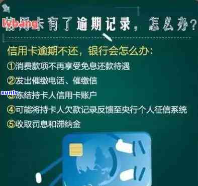 广东信用卡严重逾期-广东信用卡严重逾期怎么办