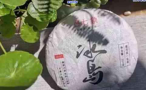 中茶冰岛价格，深度解析：中茶冰岛的价格走势及影响因素