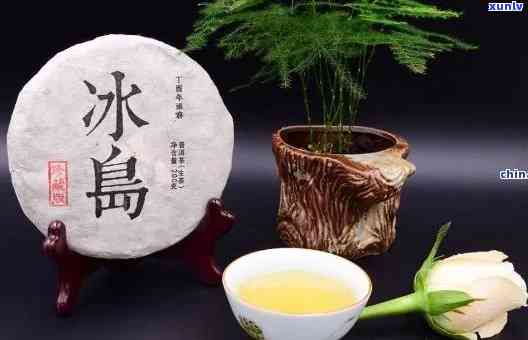 冰岛茶：年份久好喝还是当年的新口感？