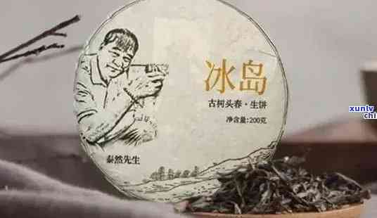 冰岛茶要喝当年的吗-冰岛茶放几年喝