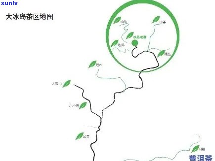 冰岛产区古树茶有哪些品种？产地、产区属、口感特点全解析！