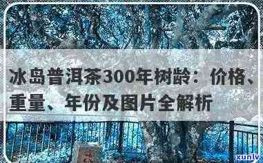 冰岛300年古树茶：价格、历、图片及保存价值全解析