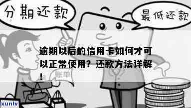 逾期后的信用卡恢复正常使用及还款处理 *** 