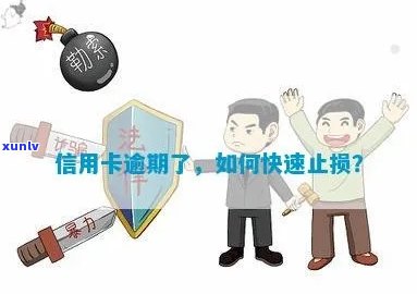 信用卡逾期快速止损 *** ：步骤、技巧与注意事项