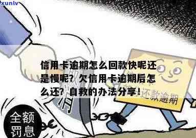 信用卡逾期怎么挽回自己-信用卡逾期怎么挽回自己的钱