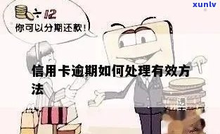 信用卡快要逾期怎么处理-信用卡快要逾期怎么处理