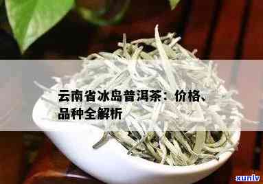 达号生产冰岛茶吗-达号普洱茶价格表