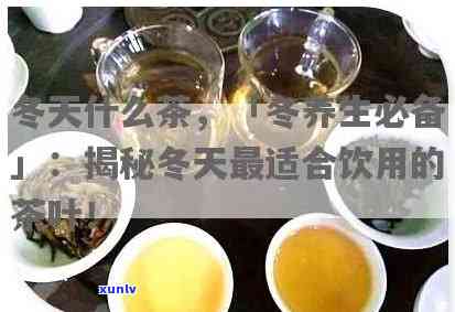 冬适合喝什么茶叶？解析最适合冬的茶类与饮品