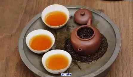 潮汕地区爱喝什么茶？探寻当地更受欢迎的茶饮文化