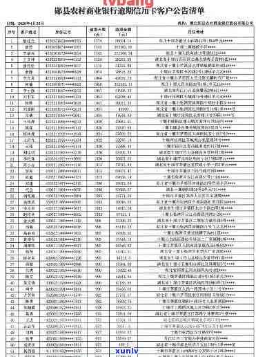 宾川县信用卡逾期人员名单公示、查询与公布，同步更新失信与黑恶人员名单