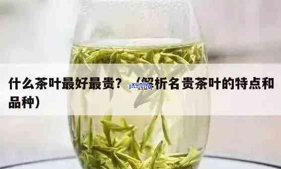 什么茶叶贵？2019年排行榜揭晓！哪种茶叶最贵、品质、口感？