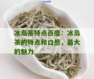 冰岛茶的特点与口感-冰岛茶的特点与口感介绍