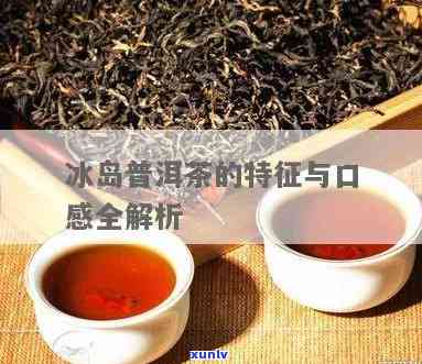 冰岛茶的特点与口感-冰岛茶的特点与口感介绍