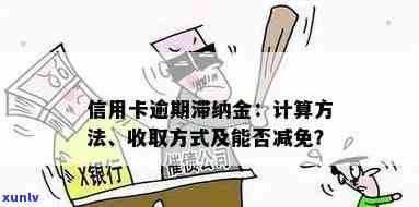 信用卡逾期滞纳金能少还吗？怎么办理？全攻略！