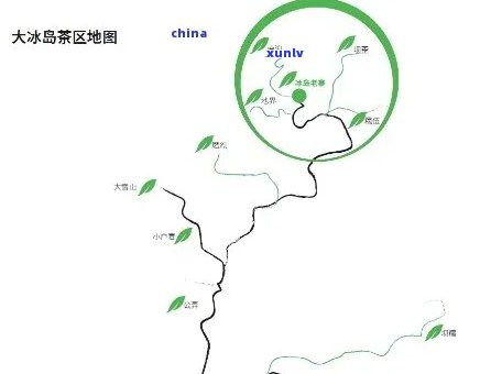 冰岛茶位置：探寻冰岛茶及其特点与分布