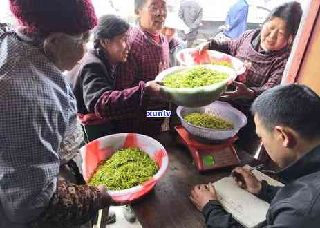 茶叶怎么快速卖出去-茶叶怎么快速卖出去呢