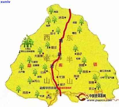 云南冰岛茶区：地图、野象群、产地、小镇项目与价格比较