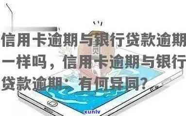 银行信用贷款跟信用卡逾期一个性质吗，探讨银行信用贷款与信用卡逾期的相似性：两者有何异同？