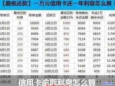 信用卡逾期和贷款利率-信用卡逾期和贷款利率一样吗