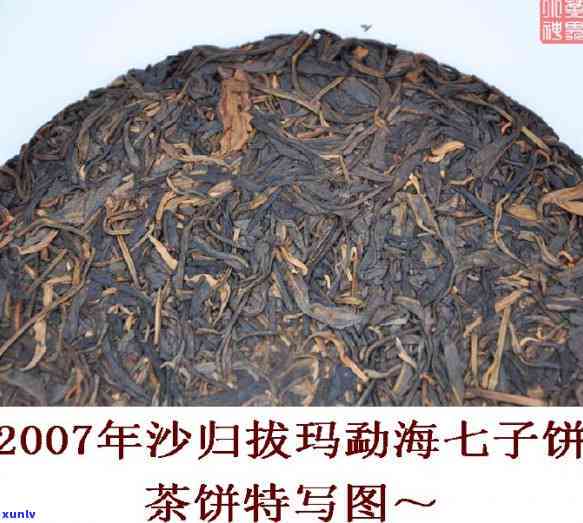 冰岛老寨茶王树图片，探寻神秘的冰岛老寨茶王树：珍贵的茶叶和美丽的自然风光