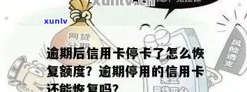 信用卡逾期被停用了-信用卡逾期被停用了怎么恢复