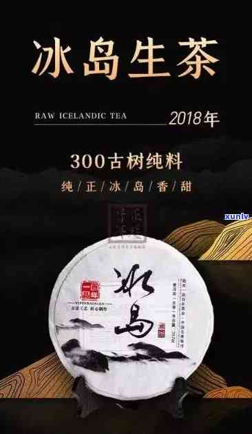 冰岛古树茶的价格，探究冰岛古树茶的市场价格及其背后的故事