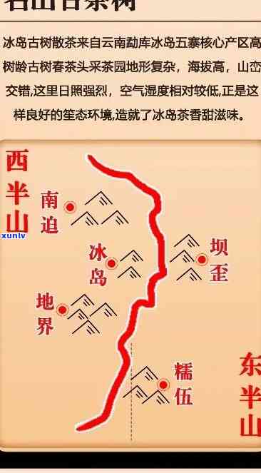 冰岛古树茶：产地、品种及地理特征全解析