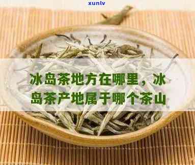 什么山产的茶叫冰岛茶，揭秘：冰岛茶的产地和品种