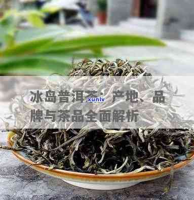 什么山产的茶叫冰岛茶，揭秘：冰岛茶的产地和品种