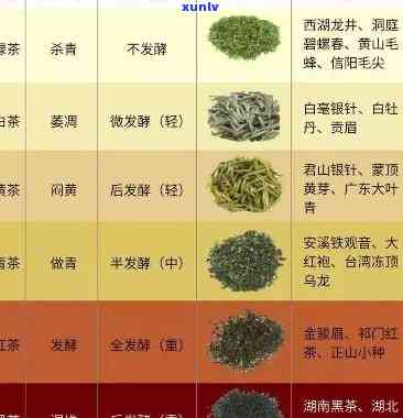 好茶叶有哪些，探寻好茶：揭秘那些优质的茶叶品种