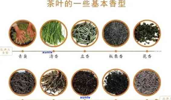 六大茶叶的品质特点是什么，探秘六大茶叶的独特品质特点