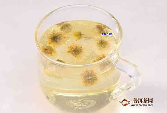 菊花加什么茶叶泡的好喝，探索美味：菊花与何种茶叶搭配？