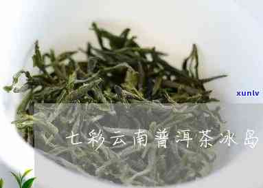 七彩云南当年冰岛茶-七彩冰岛普洱茶价格