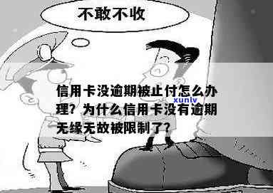 信用卡没有逾期就止付了怎么办，信用卡未逾期却遭止付，如何解决？