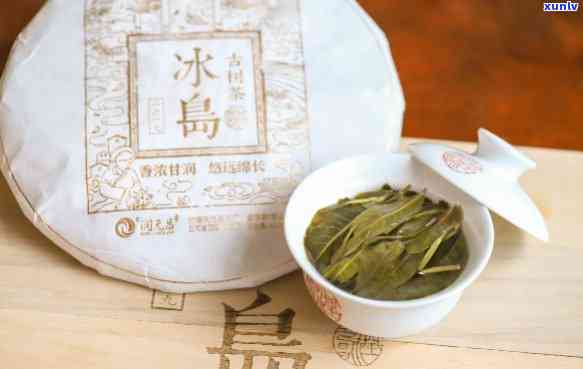 冰岛古树茶益韬出品-正宗冰岛古树茶