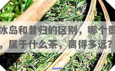 冰岛昔归哪个贵？比较它们的价格、特点与区别，了解其产地及所属茶类，探究冰岛昔归茶业，一文揭示两地距离。