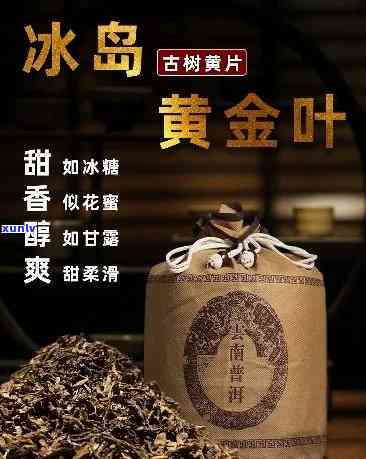 冰岛黄金叶茶多少钱一盒？茶叶价格表、茶饼、砖价格全揭秘！