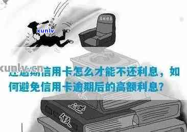 欠信用卡利息太高怎么办，高利贷信用卡：如何应对高额利息？