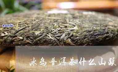 冰岛王哪个山头的茶好喝，探究冰岛王茶叶的品质：哪个山头的口感更佳？