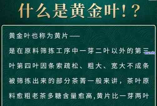 冰岛黄金叶茶的特色介绍、图片与功效，属于何种茶类？价格多少？