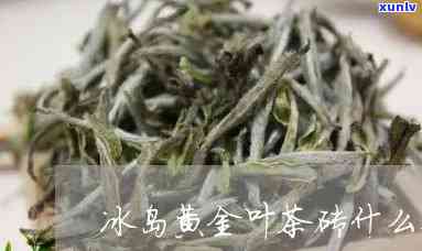 冰岛黄金叶茶的特色-冰岛黄金叶茶的特色是什么