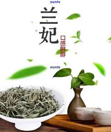 踏雪兰妃茶属于什么茶，探秘优雅：踏雪兰妃茶的分类与特点