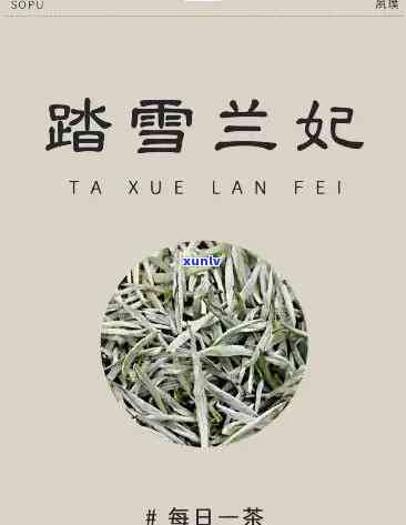 踏雪兰妃茶名由来：探秘中国传统名茶之一的起源与特色