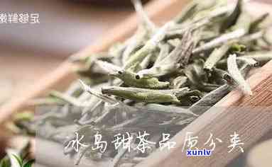 冰岛甜茶里为什么甜-冰岛茶甜度达到多少